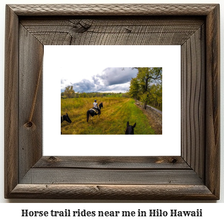 horse trail rides near me in Hilo, Hawaii